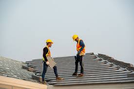 Roof Moss and Algae Removal in Elm Grove, WI